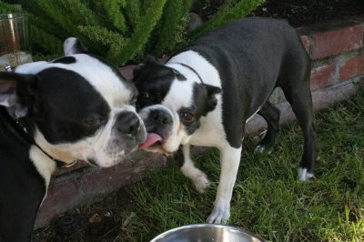 Fullscreen capture 7182010 100308 PM