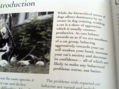 2013-01-01_15-10-25_684