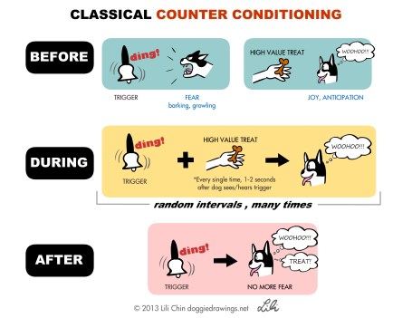 counterconditioning-lilichin