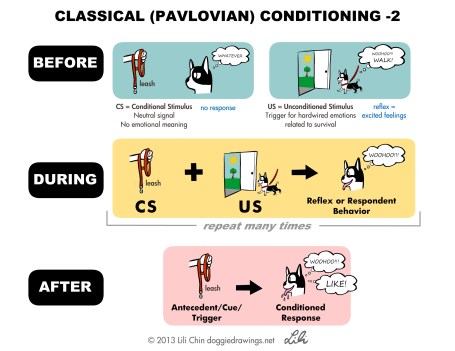 pavlov-leash-lilichin
