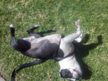 2013-02-28_14-06-49_391