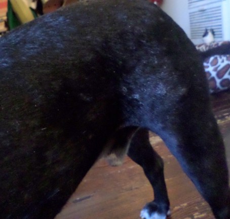 SAMSUNG CAMERA PICTURES