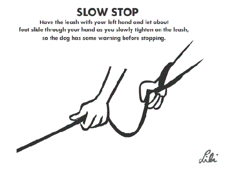 SlowStop2