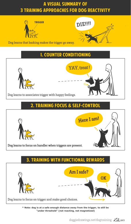 TrainingforReactivity