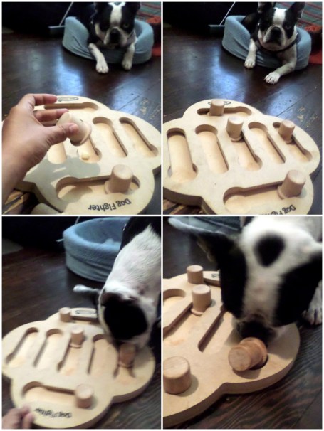 Boogie Dog Fighter game