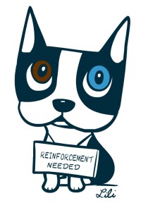 reinforcement needed