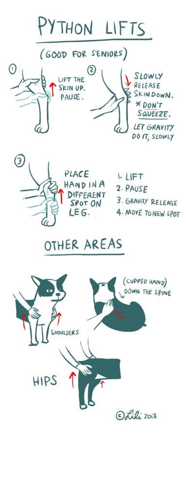 TTOUCH notes-PythonLifts