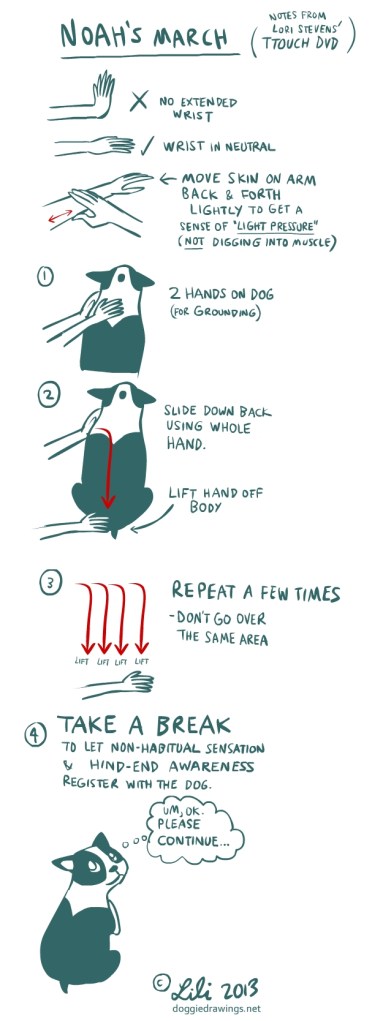 TTouchnotes-NoahsMarch