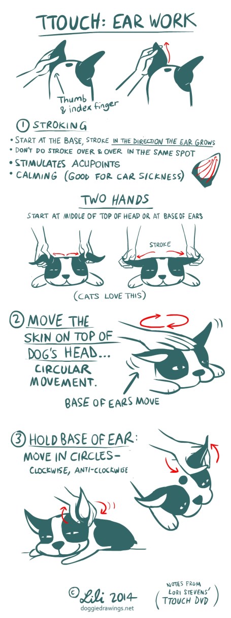 TTOUCH notes-Earwork